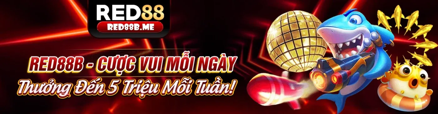 Hình ảnh chính blog AF88 với kiến thức cá cược trực tuyến và giải trí đỉnh cao